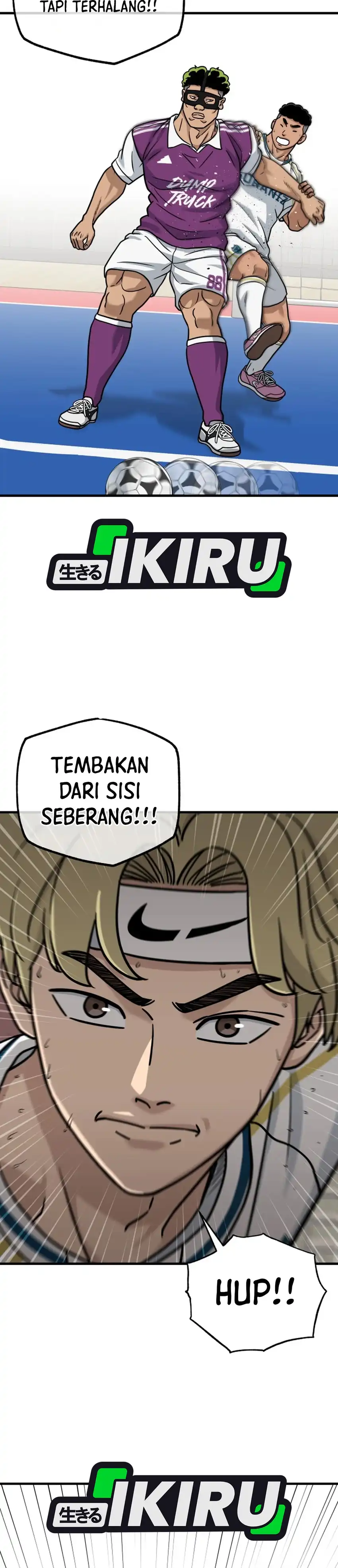 Halaman 17