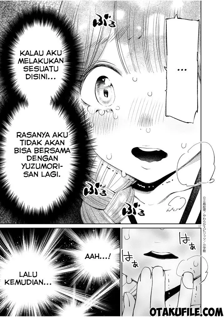 Halaman 17