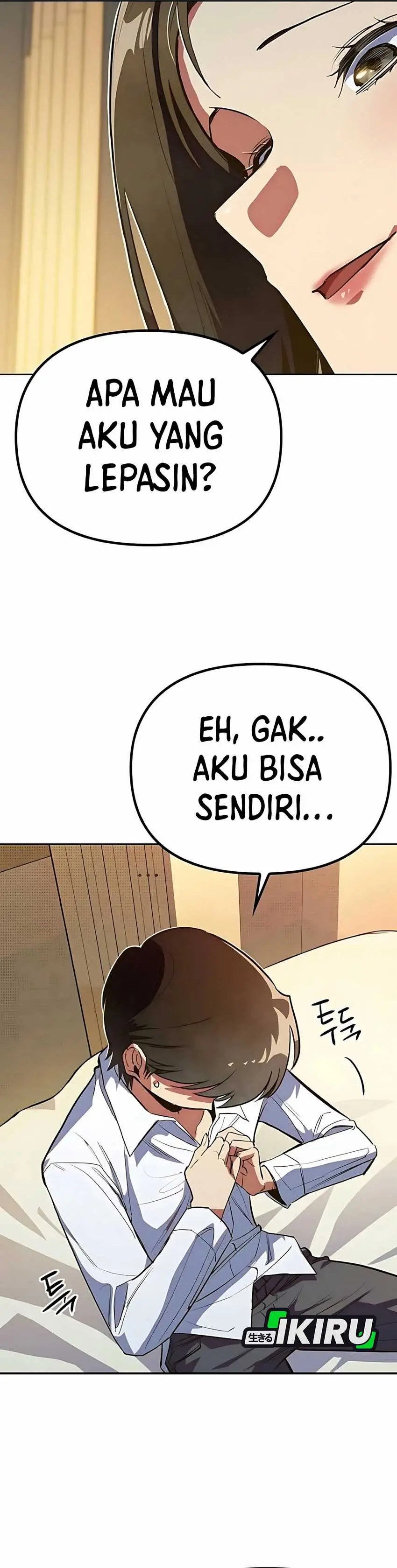 Halaman 17